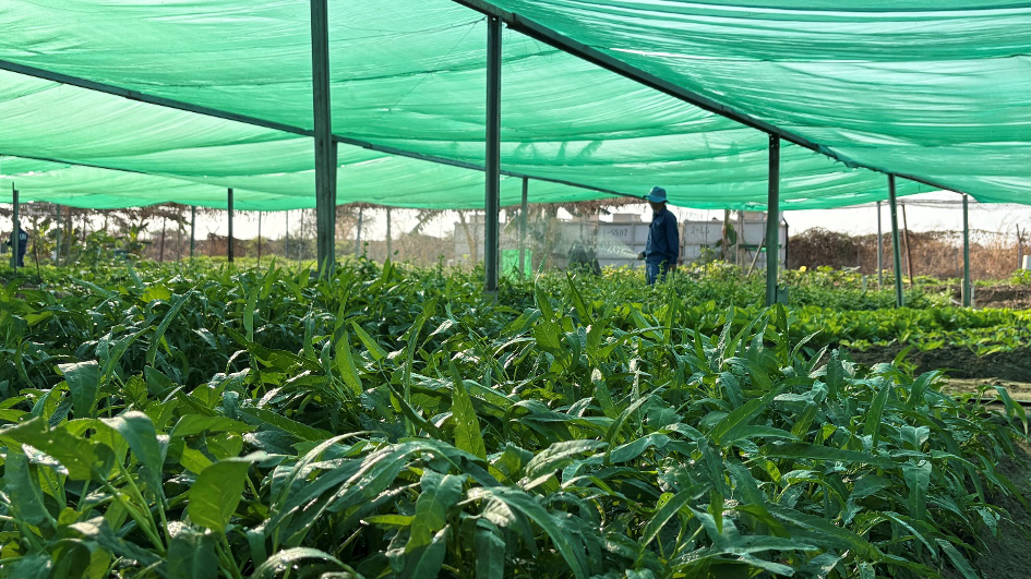 /UploadStore/admin/260113 ORI/7.png